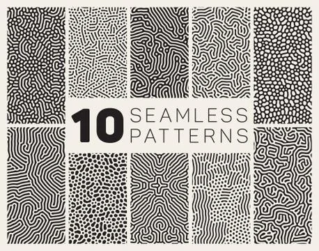 Ten Vector Seamless Black and White Organic Patterns イラスト素材