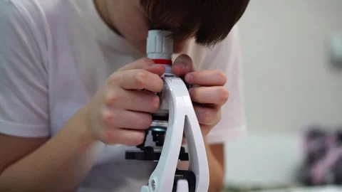 A ten year old boy studies a biological specimen under a light microscope. Close Stock Footage 298524772