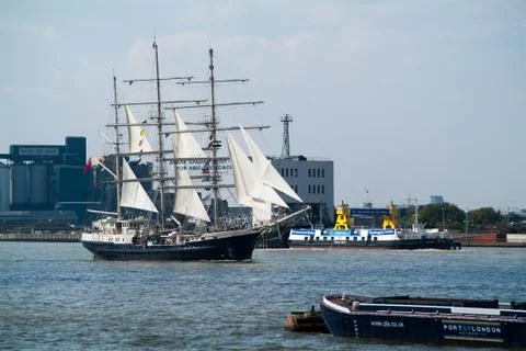 Tenacious Stock Photos