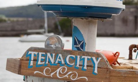 Tenacity Stock Photos