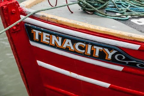 Tenacity Stock Photos