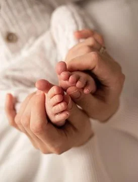 Tender Beginnings Фото