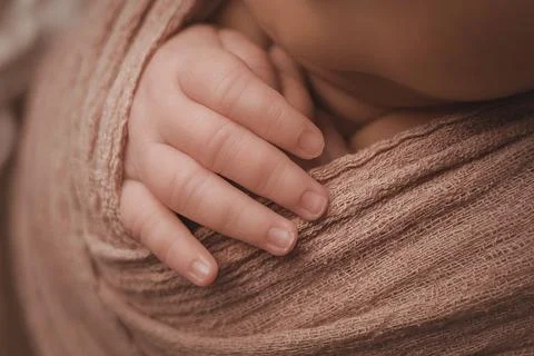 Tender Beginnings Foto stock