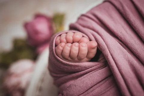 Tender Beginnings Foto stock
