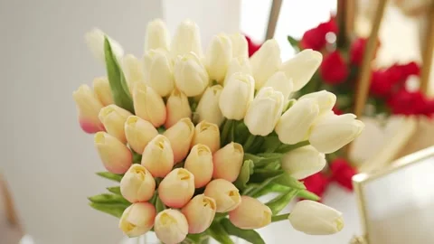 A tender bouquet of spring tulips Stock Footage 221565443