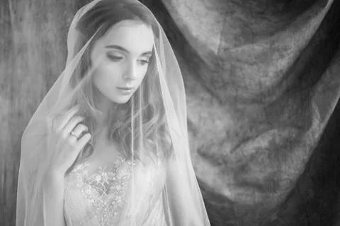 Tender bride under the veil Stock Photos
