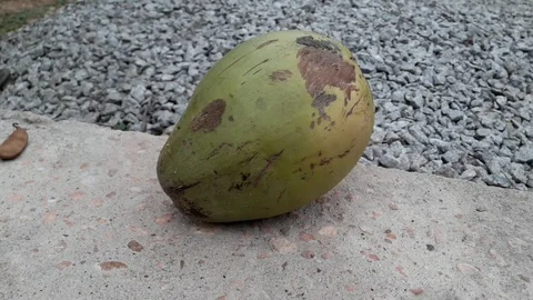 Tender coconut Stock Footage 126113773