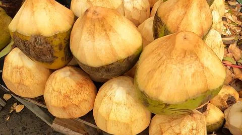 Tender Coconut Stock-Fotos