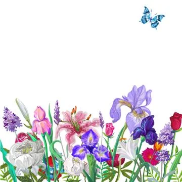 Tender floral empty template with butterfly, vector hand drawn design on white Stock Illustration