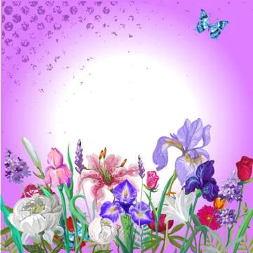 Tender floral empty template with butterfly, vector hand drawn design on Stock Illustration