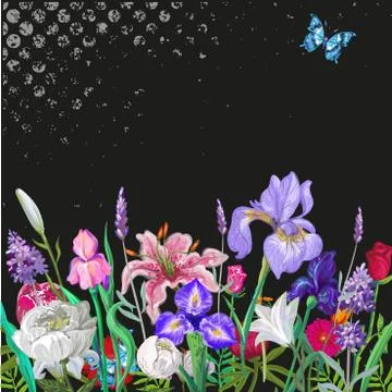 Tender floral empty template with butterfly, vector hand drawn design on black Stock Illustration