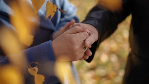 Tender Moment Two Hands Intertwined in the Colorful Autumn Leaves  Video stock 297210544