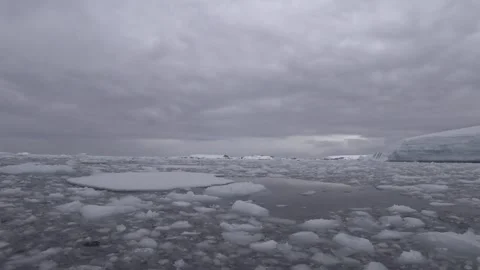 Tender navigation among ice in Antarctica Vídeos de archivo 330793012