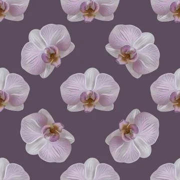 Tender orchid flower seamless pattern on purp background Stock Illustration