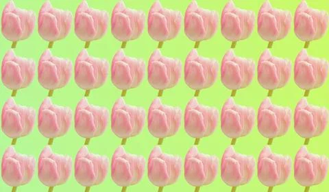 Tender pattern of pink tulip flowerhead on light green Stock Illustration