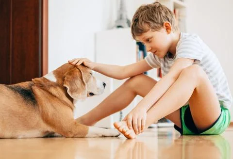 Tender scene between boy and dog Stock Photos