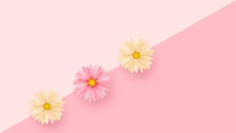 Tender spring flowers on a geometric background. Minimalistic composition. Stock Illustration