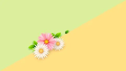 Tender spring flowers on a geometric background. Minimalistic composition. Stock Illustration