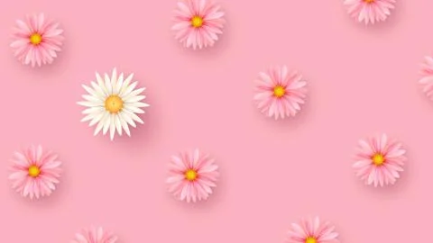 Tender spring flowers on a geometric background. Minimalistic composition. Illustrazione stock