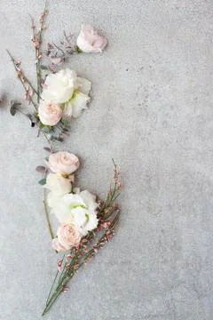 Tender spring flowers on gray background, copy space. Stock Photos