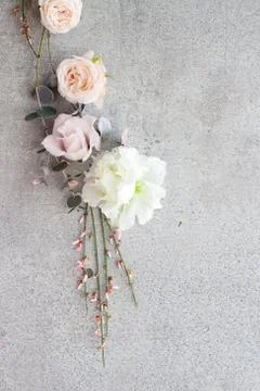 Tender spring flowers on gray background, copy space. Stock Photos