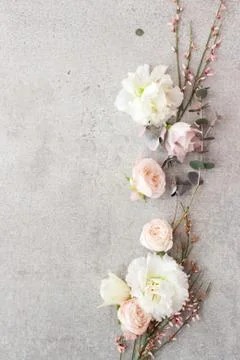 Tender spring flowers on gray background, copy space. Stock Photos