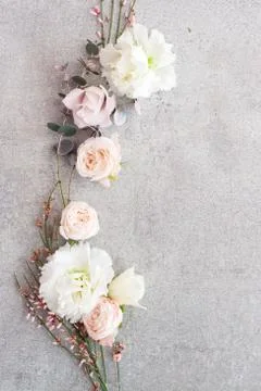 Tender spring flowers on gray background, copy space. Stock Photos