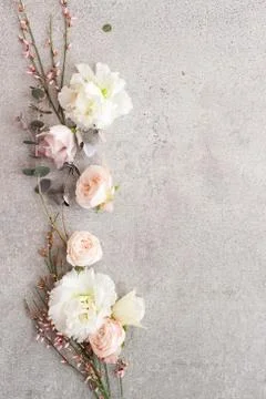 Tender spring flowers on gray background, copy space. Stock Photos