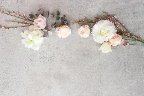 Tender spring flowers on gray background, copy space. Stock Photos
