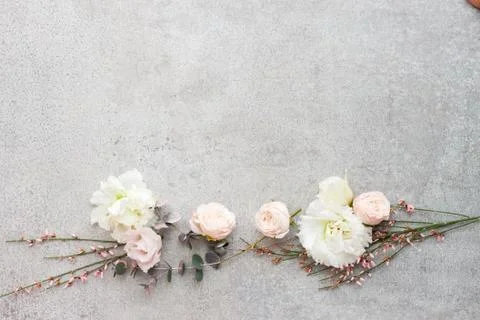 Tender spring flowers on gray background, copy space. Stock Photos