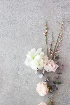 Tender spring flowers on gray background, copy space. Stock Photos