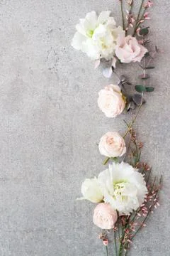 Tender spring flowers on gray background, copy space. Stock Photos