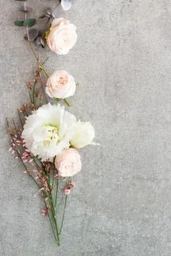 Tender spring flowers on gray background, copy space. Stock Photos
