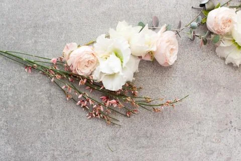 Tender spring flowers on gray background, copy space. Stock Photos