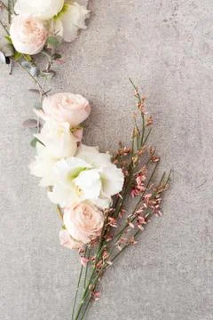 Tender spring flowers on gray background, copy space. Stock Photos