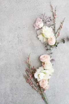 Tender spring flowers on gray background, copy space. Stock Photos