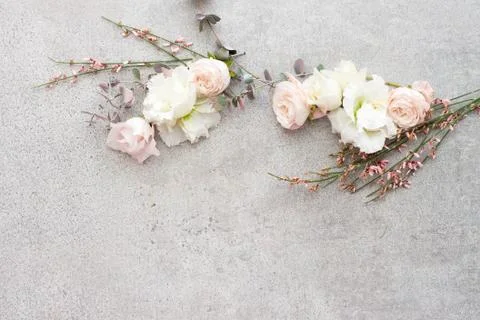 Tender spring flowers on gray background, copy space. Stock Photos