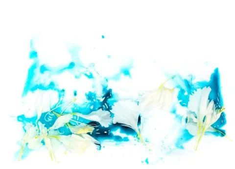 Tender tiny white flower petals floating in blue cyan aquamarine watercolor Stock Photos