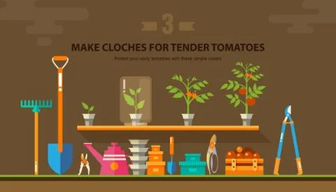 TENDER TOMATOES Stock Illustration