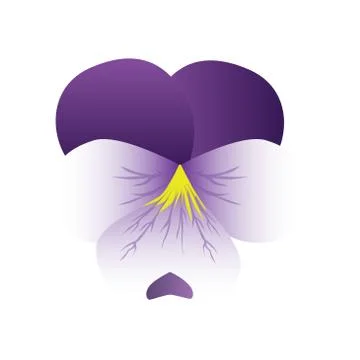 Tender Violet Flower Blossom in Vector Stock Illustration