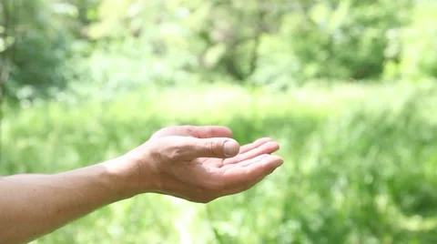 Tenderhearted gesture, closeup shot Video stock 63759039