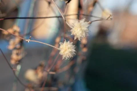 Tenderness Stock Photos