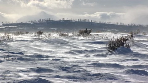 Tendrils of Windswept Snow Blowing Across Landscape in Yellowstone National Park Stock Footage 107101792