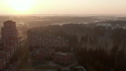 Tenements in a pine tree misty forest aerial shot Stock Footage 167904995