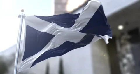 Tenerife flag waving-seamless-loop-4k-60fps Stock Footage 343316288