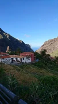 Tenerife - May 2018: Casa Rural Morro Cat Stock Photos