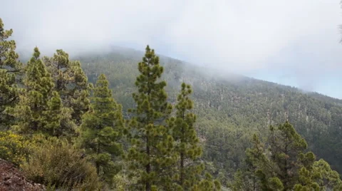 Tenerife Mountains Stock Footage 5603878