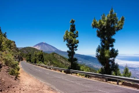 Tenerife Stock Photos