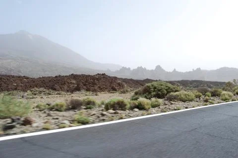 Tenerife Stock Photos