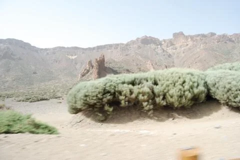 Tenerife Stock Photos
